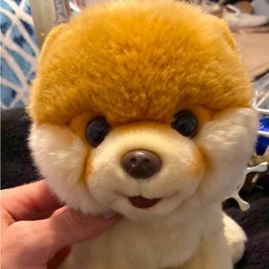 10 inch beautiful brand new puppy.